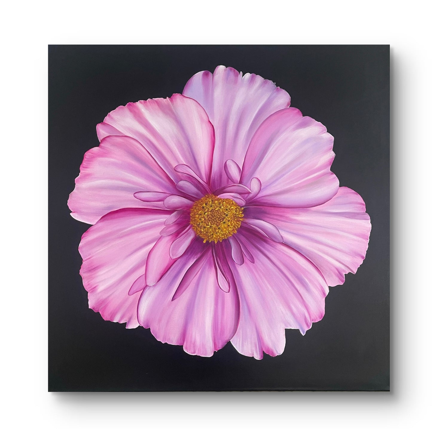 Cosmos