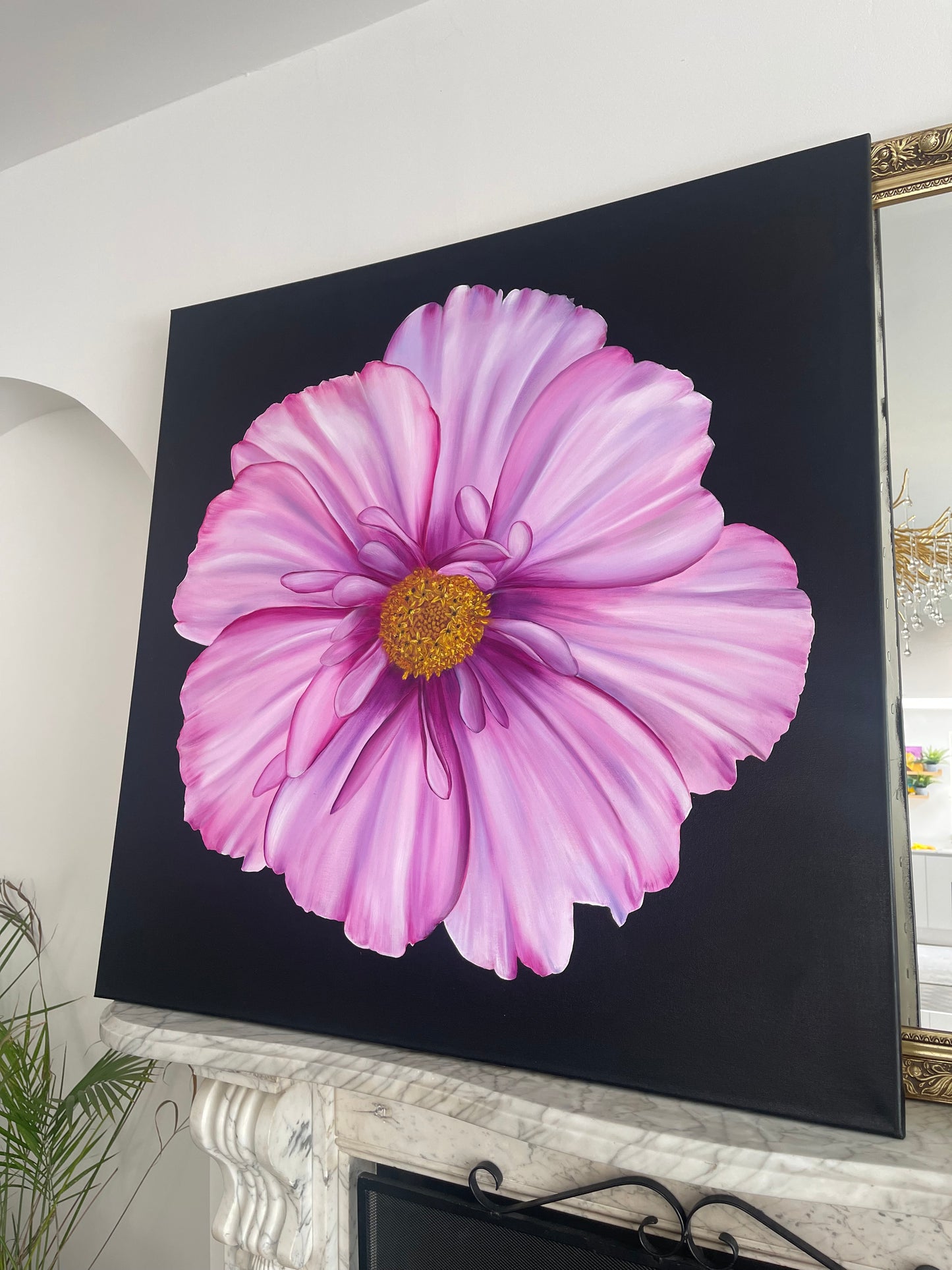 Cosmos