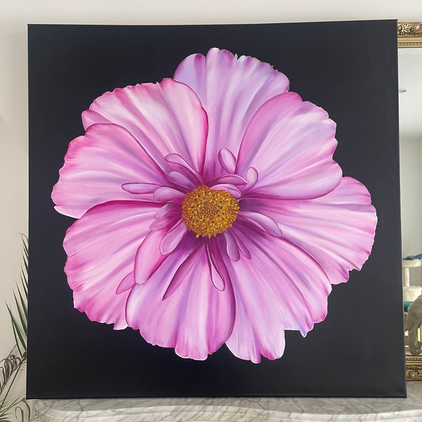 Cosmos
