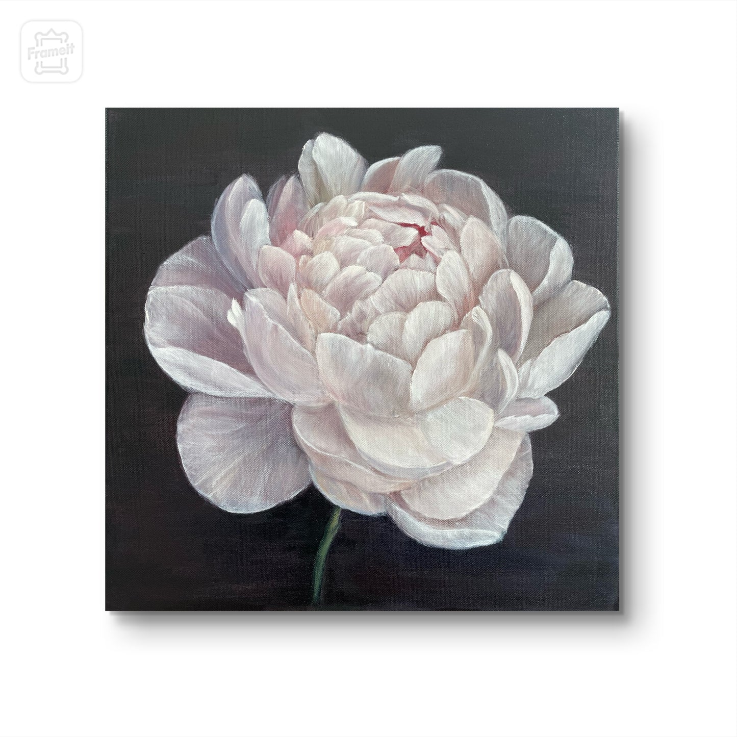 3. Whispering Peony 40x40cm. NEW