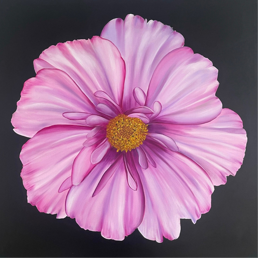 Cosmos