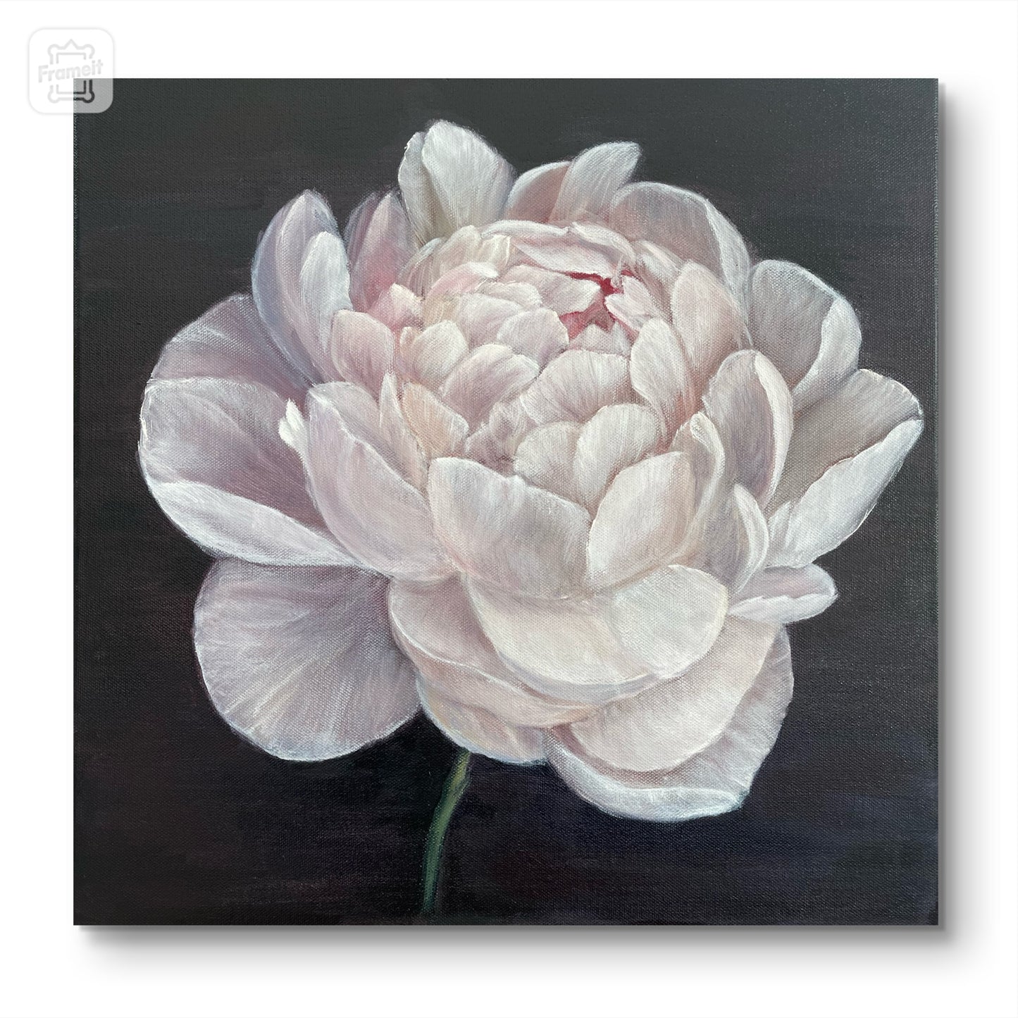 3. Whispering Peony 40x40cm. NEW