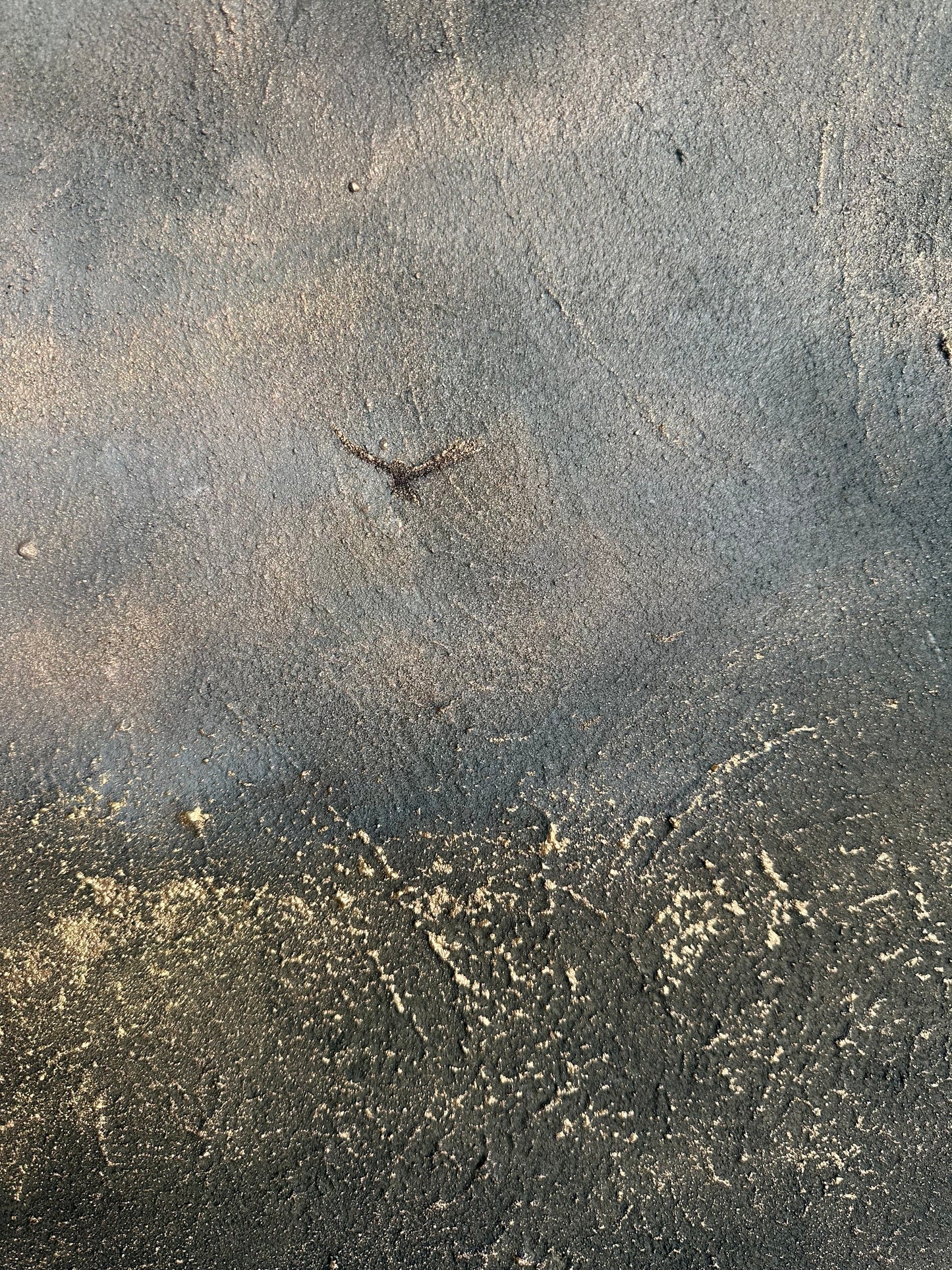 Through the Storms, Towards the Light - Original Painting