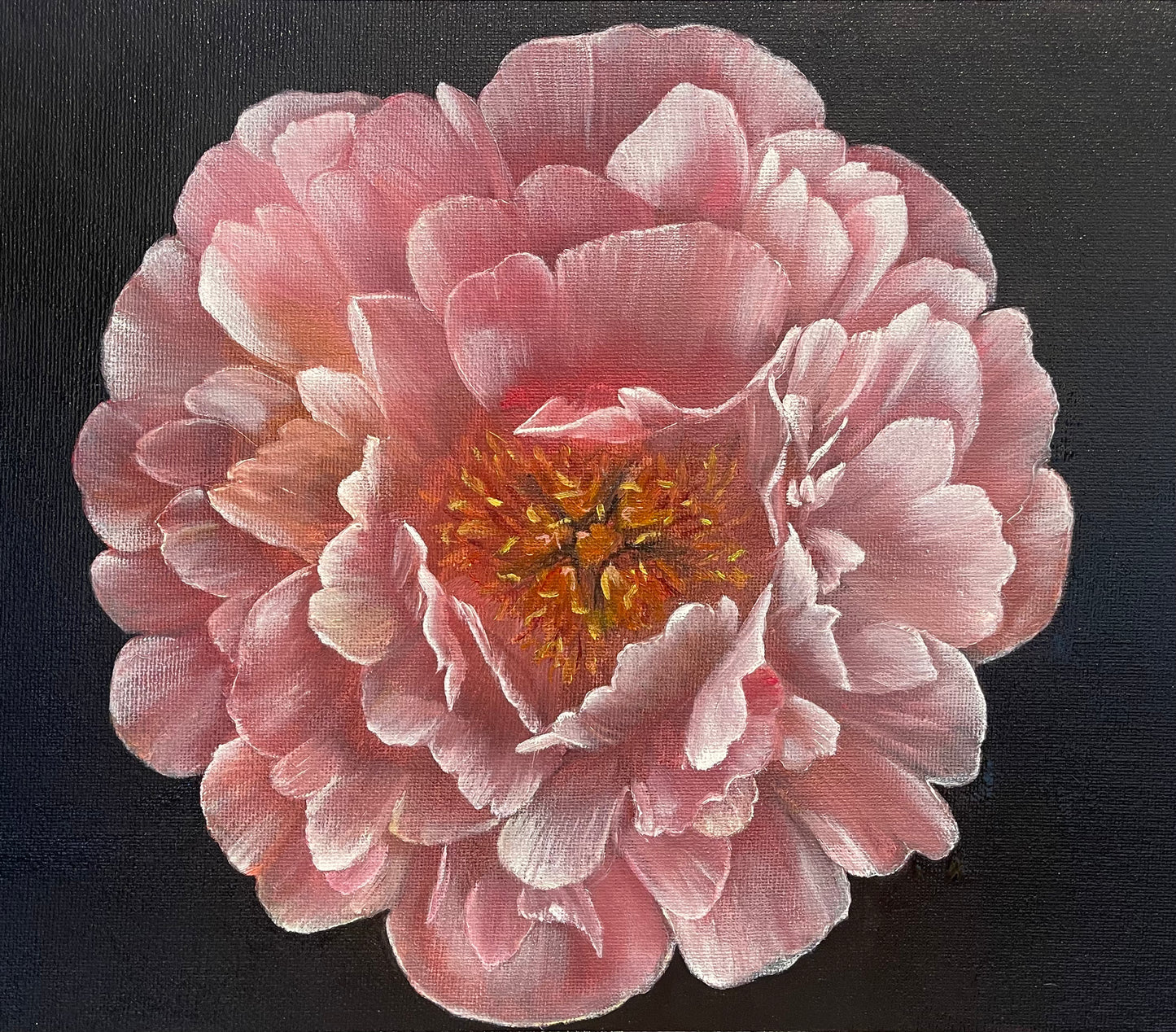 4. Silent Beauty - 47x35cm oil